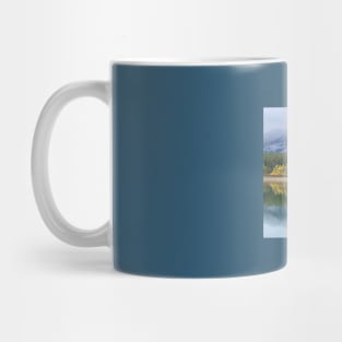 Reflections Mug